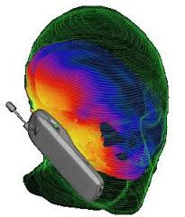 imagesCA93M81B.jpg